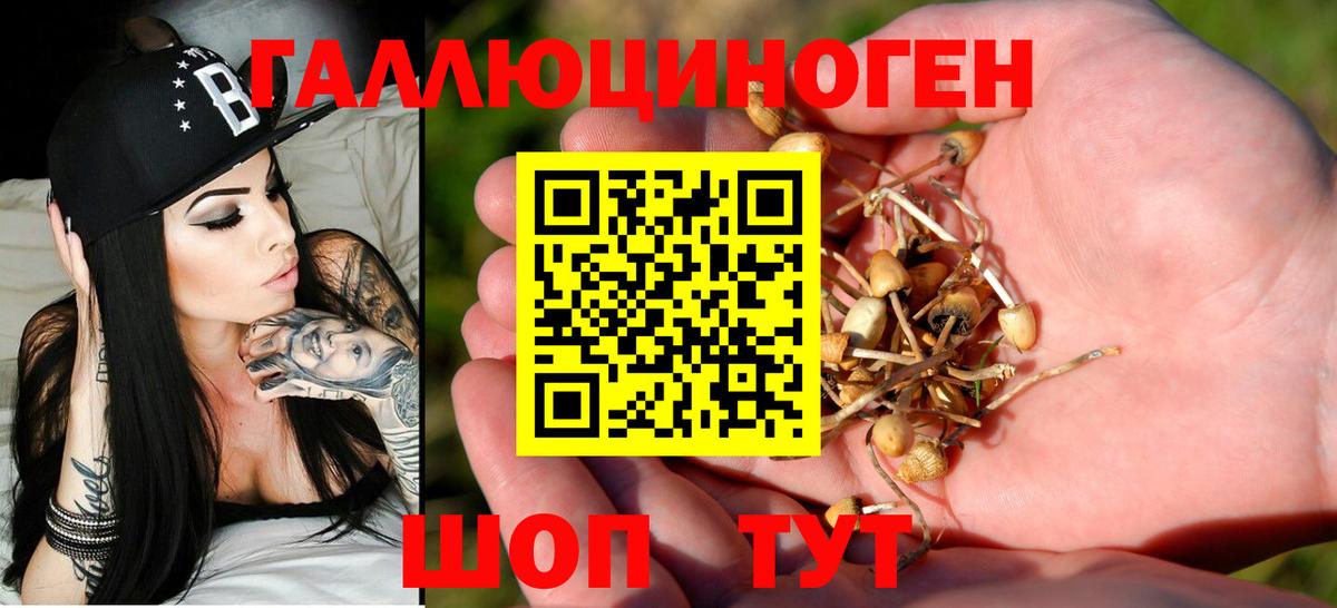 Галлюциногенные грибы мицелий  Вход с VPN  Ревда  Галлюциногенные грибы ЛСД 